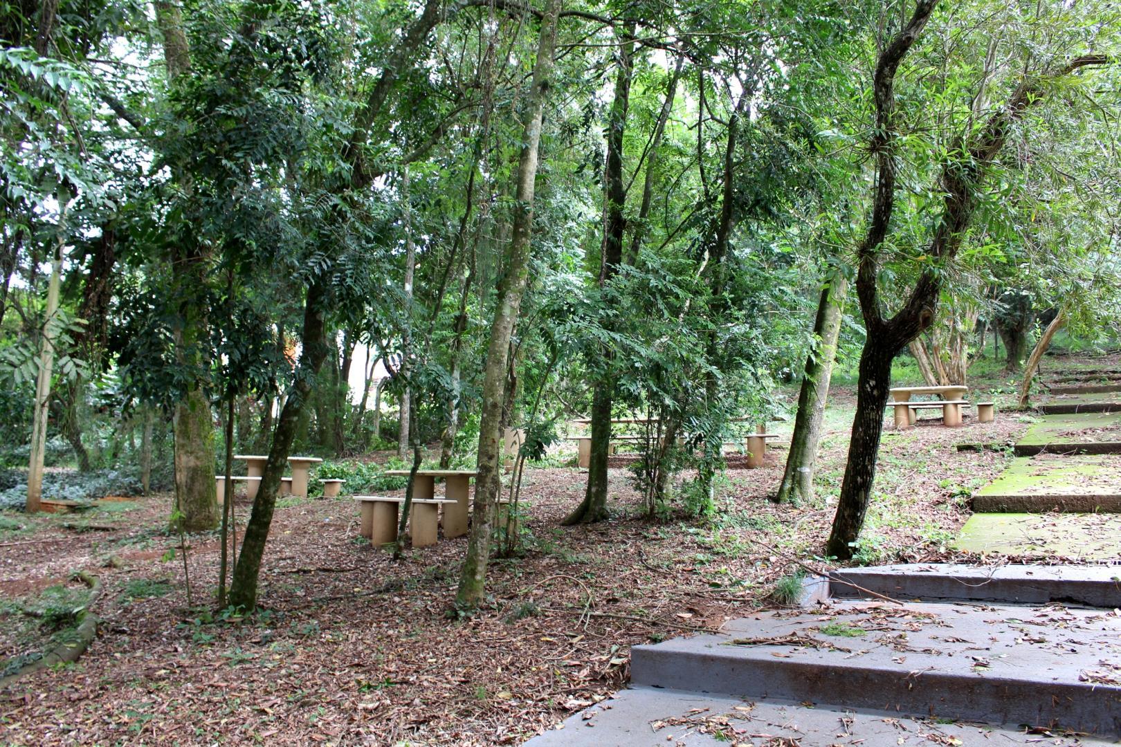 Morrinho Área de Preservação Ambiental